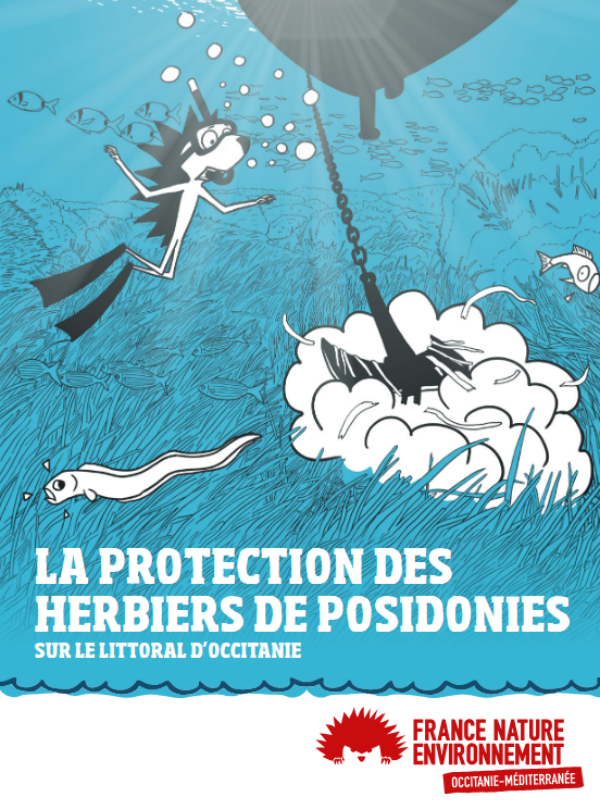 Mini-guide: La protection des herbiers de Posidonies sur le littoral d’Occitanie