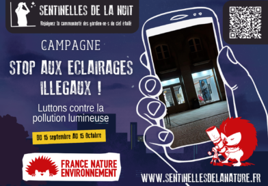 Campagne « Sentinelles de la Nuit » : Stop aux éclairages illégaux