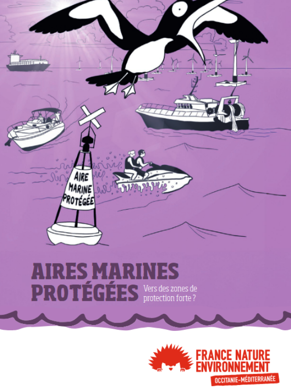 Mini-guide: Aires Marines Protégées – Vers des Zones de Protection Forte ?
