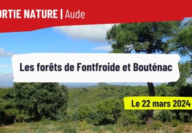Sortie forêt dans l’Aude