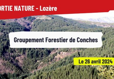 Sortie Forêt Lozère : Groupement Forestier de Conches