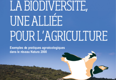 « La biodiversité, une alliée pour l’agriculture » : découvrez notre livret !