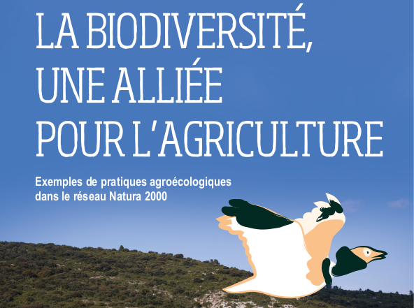 La biodiversité, une alliée pour l’agriculture. Exemples de pratiques agroécologiques dans le réseau Natura 2000