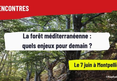 INVITATION – Rencontres de la forêt méditerranéenne