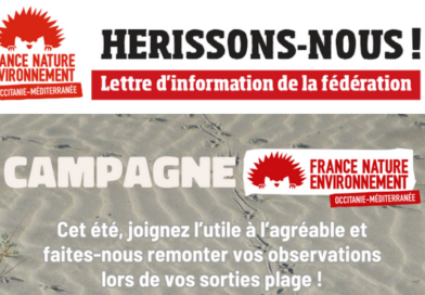 Hérissons-nous ! Notre lettre d’infos n°35 – juillet 2024