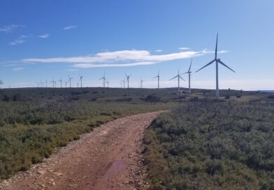 Communiqué : Première condamnation pénale d’un exploitant d’éoliennes pour destruction d’espèces protégées