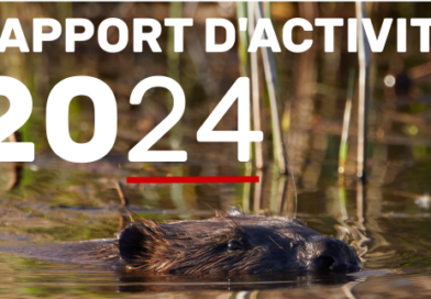 Découvrez notre rapport d’activité 2024 !