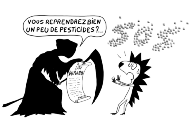 Hérissons-nous ! Notre lettre d’info n°39 – mai 2025