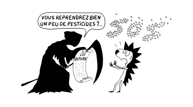 Hérissons-nous ! Notre lettre d’info n°39 – mai 2025