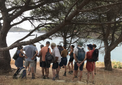 La sortie « petits fonds côtiers » sur la côte Vermeille