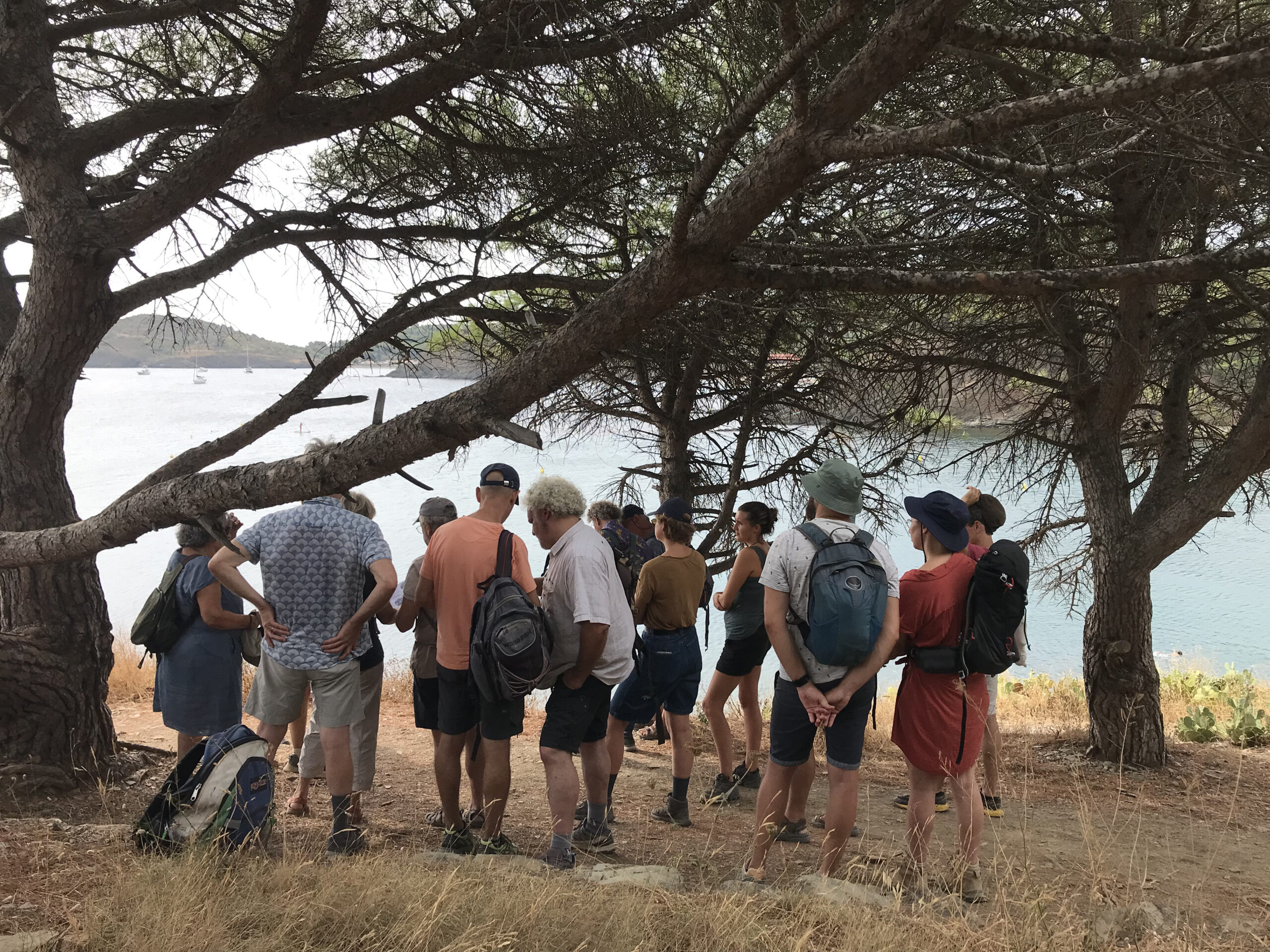 La sortie « petits fonds côtiers » sur la côte Vermeille