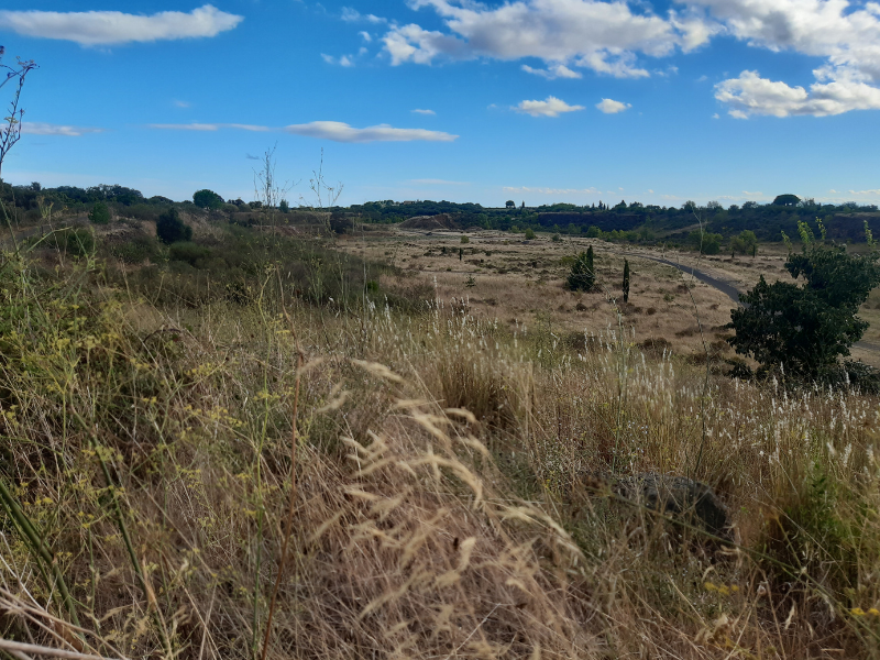 Nouveau recours contre le projet de parc photovoltaïque à Lézignan-la-Cèbe