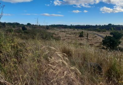 Nouveau recours contre le projet de parc photovoltaïque à Lézignan-la-Cèbe
