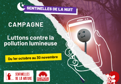 Hérissons-nous ! Notre lettre d’info n°41 – septembre 2025