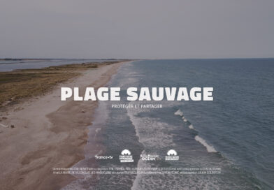 Venez assister à la projection en avant-première de notre court-métrage « Plage sauvage – partager et protéger » !
