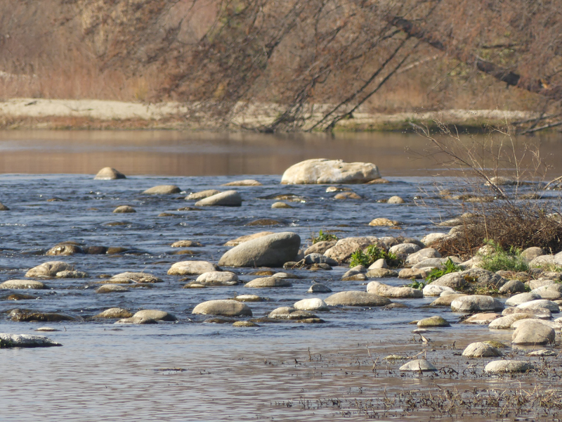FNE OCMED obtient la multiplication par deux du débit minimal de la Têt