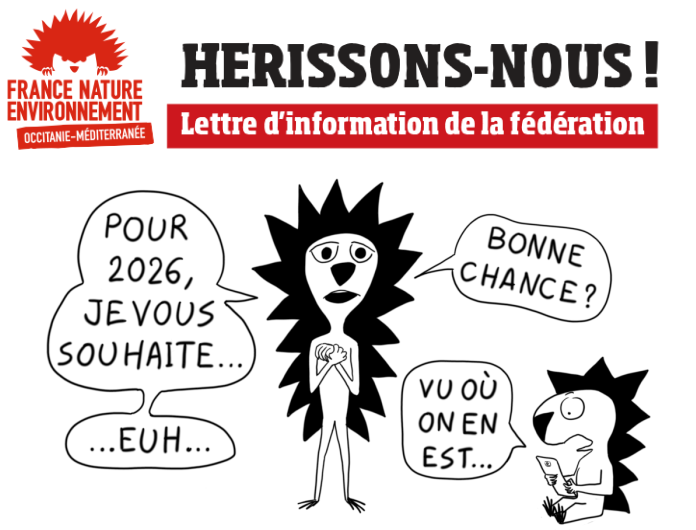 viseul 2 Lettre d'infos de FNE OCMED - Janvier 2026