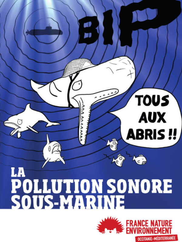 Découvrez notre nouveau mini-guide sur la pollution sonore sous-marine !