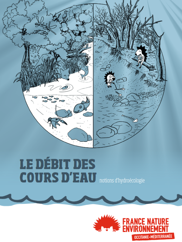 Mini-guide: Le débit des cours d’eau – Notions d’hydroécologie