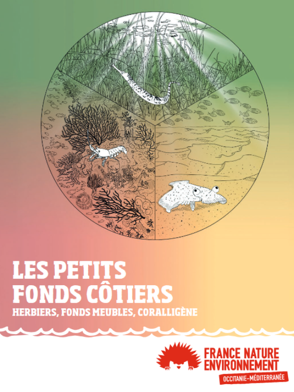 Mini-guide: Les petits fonds côtiers