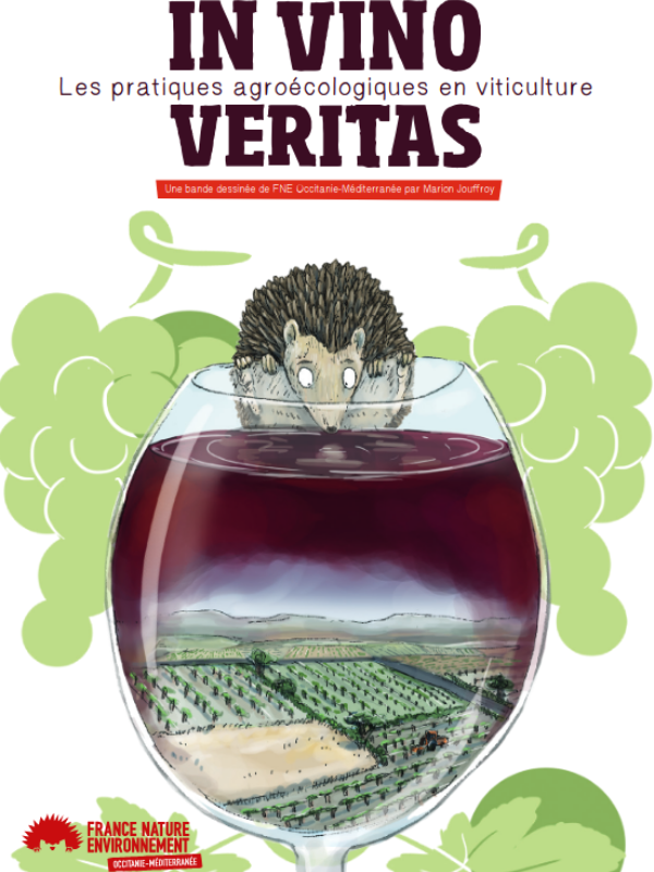 BD: In Vino Veritas