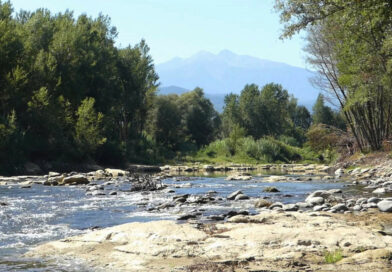 Communiqué : FNE OCMED obtient l’annulation de la dérogation préfectorale au débit minimum biologique de la Têt